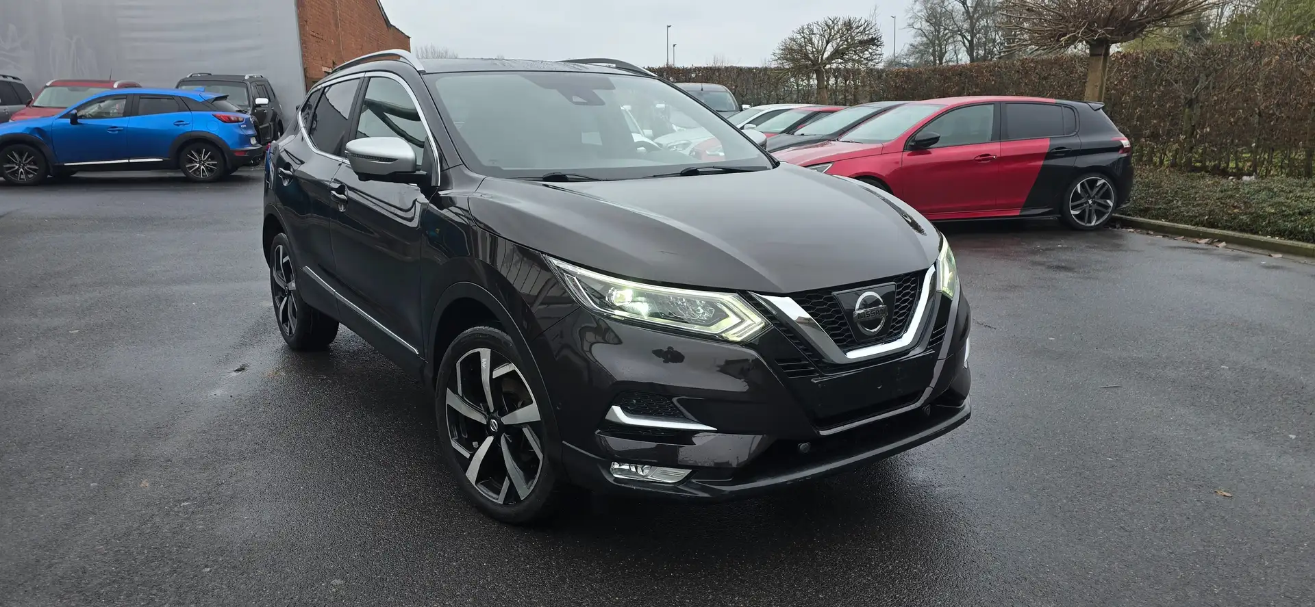 Nissan Qashqai Qashqai 1.6 dCi TEKNA Mauve - 1