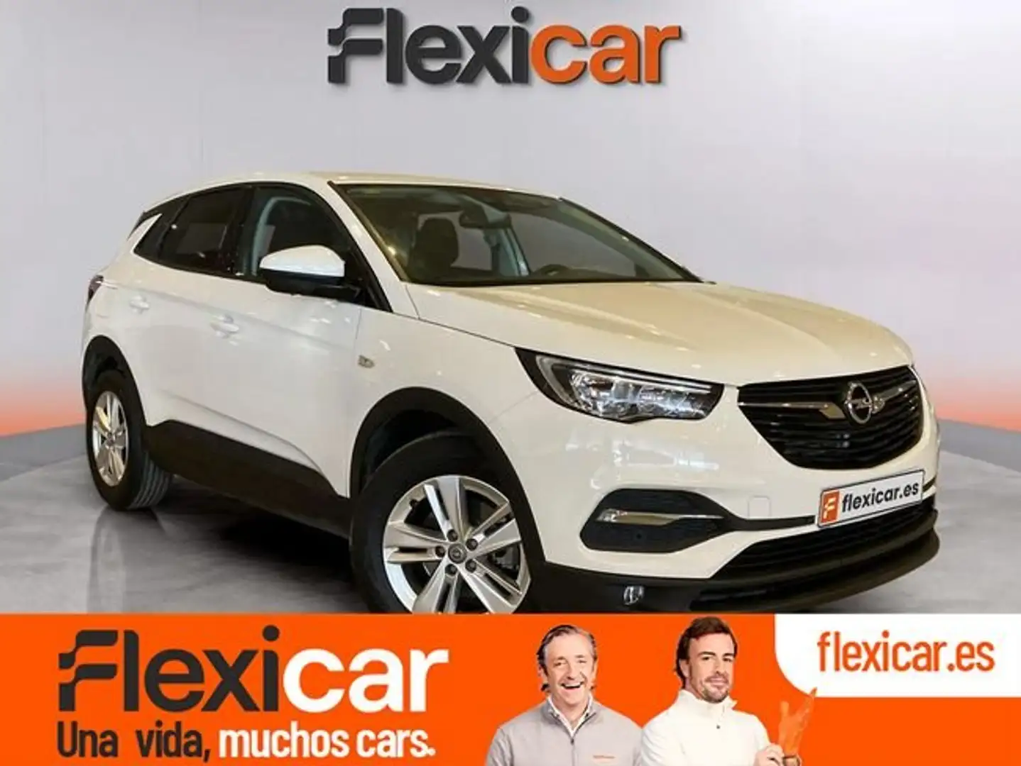 Opel Grandland X 1.2+Turbo+Excellence Blanco - 1