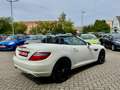 Mercedes-Benz SLK 200 Roadster BlueEffi Aut.Navi Leder BiXenon Білий - thumbnail 7
