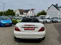 Mercedes-Benz SLK 200 Roadster BlueEffi Aut.Navi Leder BiXenon Білий - thumbnail 8