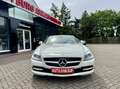 Mercedes-Benz SLK 200 Roadster BlueEffi Aut.Navi Leder BiXenon Білий - thumbnail 4