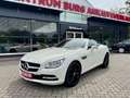 Mercedes-Benz SLK 200 Roadster BlueEffi Aut.Navi Leder BiXenon Білий - thumbnail 3