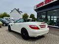 Mercedes-Benz SLK 200 Roadster BlueEffi Aut.Navi Leder BiXenon Білий - thumbnail 9