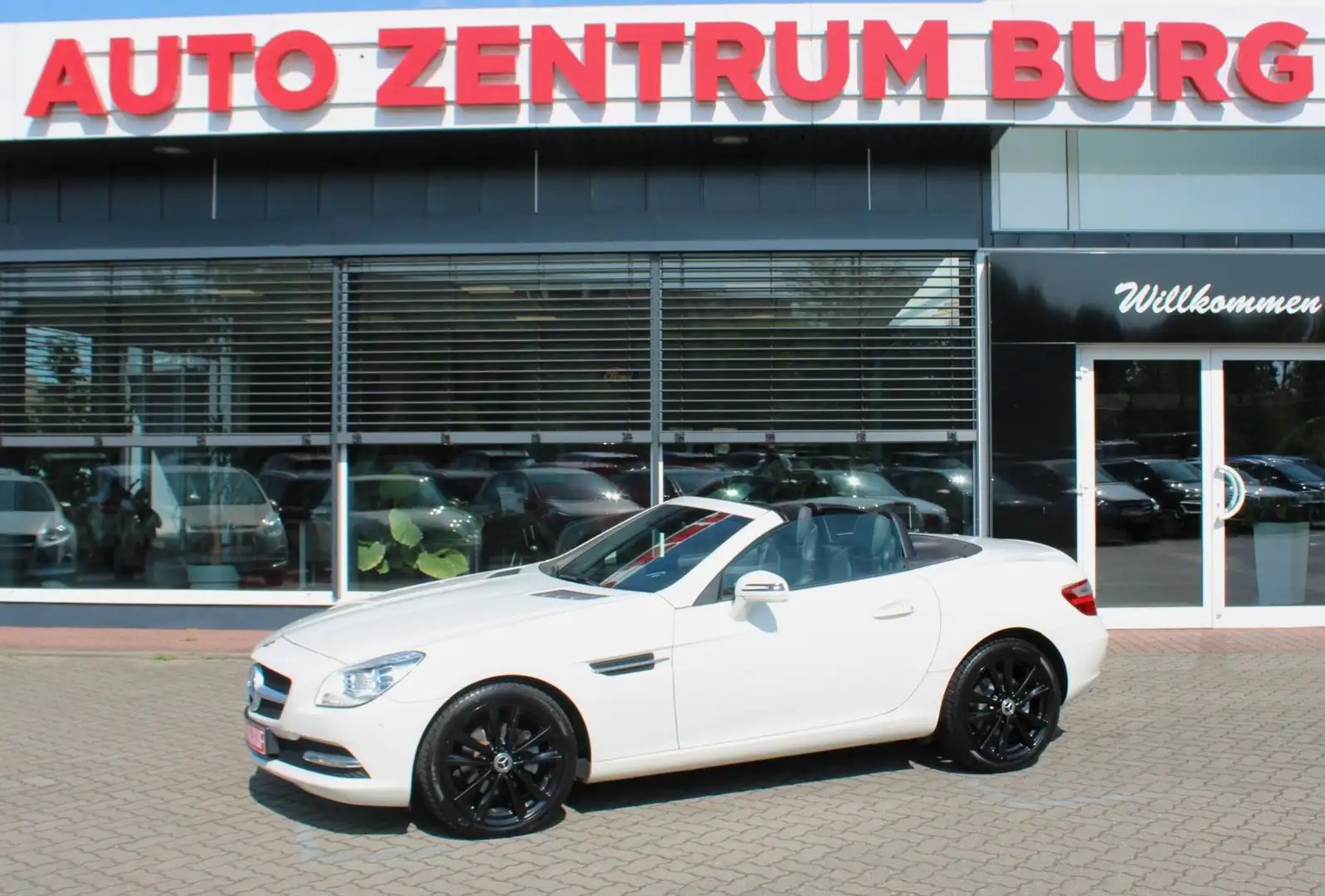 Mercedes-Benz SLK 200 Roadster BlueEffi Aut.Navi Leder BiXenon Biały - 1