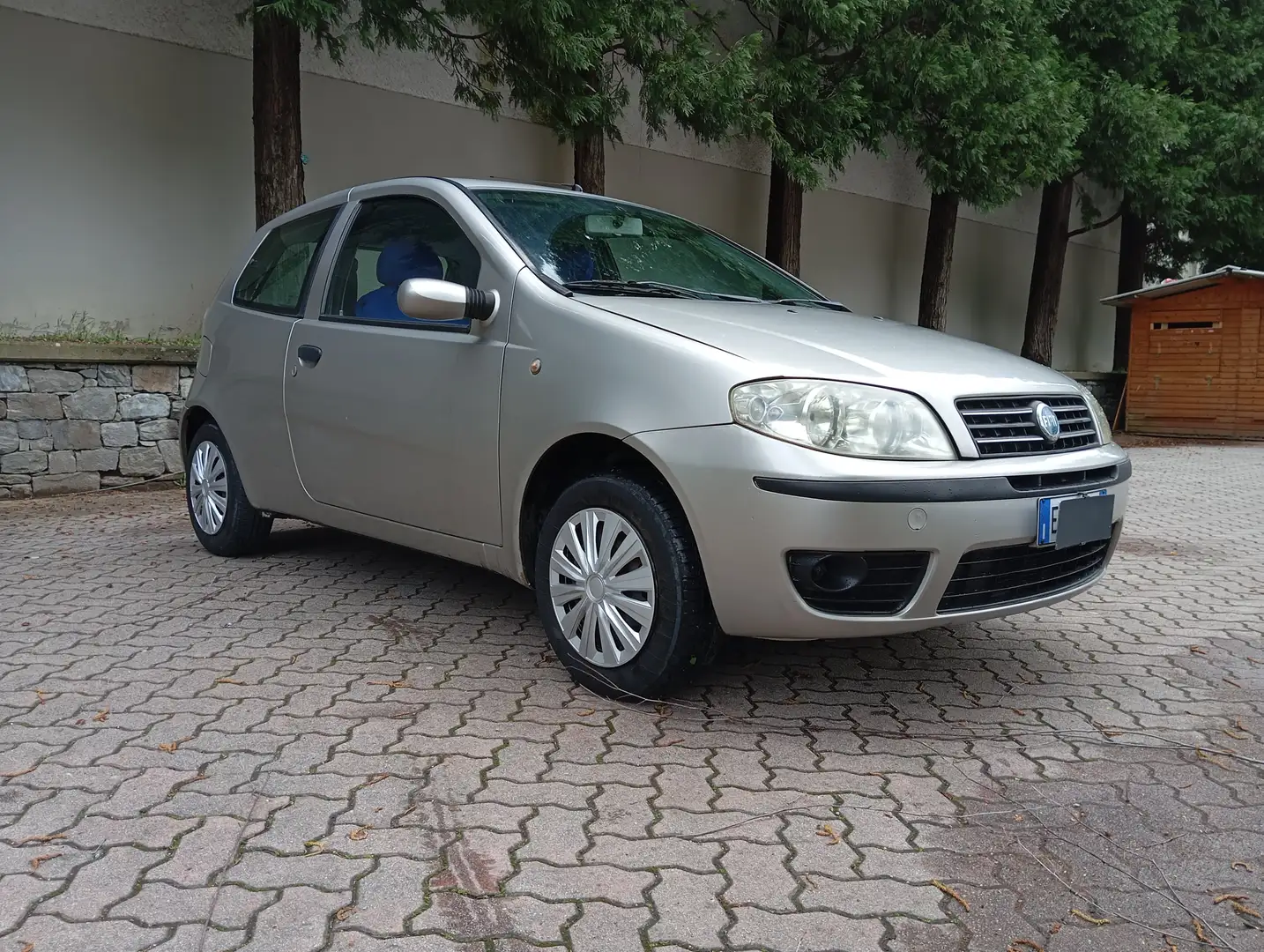 Fiat Punto Punto 3p 1.2 Actual Grigio - 2