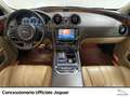 Jaguar XJ 3.0d v6 premium luxury auto - thumbnail 10