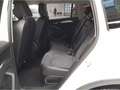 Volkswagen Tiguan 1.5 TSI eHYBRID 272PS ELEGANCE MATRIX AHK Weiß - thumbnail 5