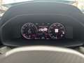 CUPRA Formentor AUKTION VZ 4Drive 2.0 TSI Led Navi Full Link ACC D Grau - thumbnail 14