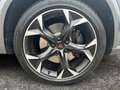CUPRA Formentor AUKTION VZ 4Drive 2.0 TSI Led Navi Full Link ACC D Grau - thumbnail 20