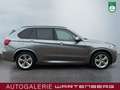 BMW X5 M d M Sport//NEUER MOTOR VON BMW// Gris - thumbnail 6