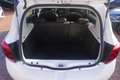 Dacia Sandero Stepway Tce 90 EDC Navi Kamera PDC Blanc - thumbnail 29