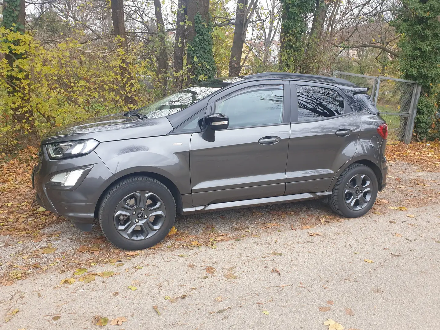 Ford EcoSport EcoSport 1,0 EcoBoost ST-Line ST-Line Grau - 1