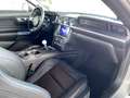 Ford Mustang Mach 1+MagneRide+LED+B&O+NAV+SHZ+DAB+LMF Gris - thumbnail 23