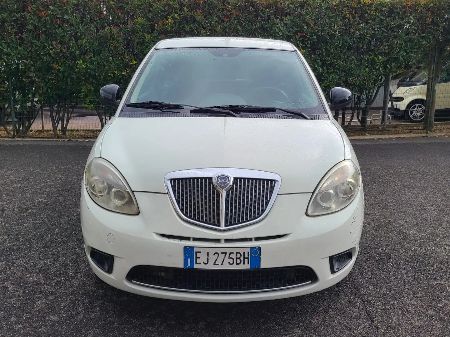 Lancia Ypsilon 329555603302*1.2*8v*Platinum*69cv*NEOPATENTATI Blanco - 2