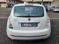 Lancia Ypsilon 329555603302*1.2*8v*Platinum*69cv*NEOPATENTATI Blanco - thumbnail 5