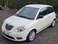 Lancia Ypsilon 329555603302*1.2*8v*Platinum*69cv*NEOPATENTATI Blanco - thumbnail 8