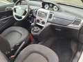 Lancia Ypsilon 329555603302*1.2*8v*Platinum*69cv*NEOPATENTATI Blanco - thumbnail 12