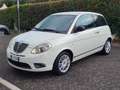 Lancia Ypsilon 329555603302*1.2*8v*Platinum*69cv*NEOPATENTATI Blanco - thumbnail 3