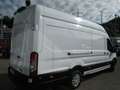 Ford Transit Kasten 350 L4 Trend Blanco - thumbnail 2