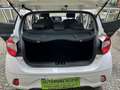 Hyundai i10 1.0 - Prezzo Promo -Km 35.053 *UNICOPROPRIETARIO* Weiß - thumbnail 12