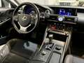 Lexus IS 300 300h Executive Parking Gris - thumbnail 5