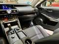 Lexus IS 300 300h Executive Parking Gris - thumbnail 24