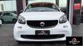 smart forTwo NAVI PELLE RATA MENSILE 225,00 EURO fortwo 70 1.0 Bianco - thumbnail 2