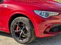 Alfa Romeo Stelvio 2.9 Quadrifoglio Q4 510cv Rojo - thumbnail 14