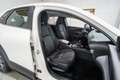 Mazda CX-30 2.5 e-Skyactiv-G Prime Line FWD 103kW Alb - thumbnail 15