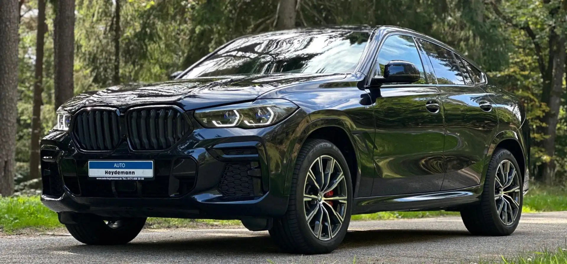 BMW X6 Baureihe X6 xDrive 30 d M Sport Noir - 1