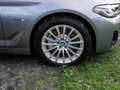 BMW 530 e DA Pro Laser RFK LiCoPro HuD ACC Gris - thumbnail 7