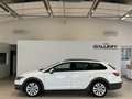 SEAT Leon ST X-Perience 2,0 TDI DSG 4Drive*ACC*AHK*Kamera Weiß - thumbnail 9