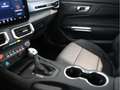 Ford Mustang GT Fastback 5.0l Ti-VCT V8 +LED+ACC+N Rojo - thumbnail 16