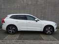 Volvo XC60 T4 R-Design | Trekhaak | CarPlay | Panoramadak | C Blanc - thumbnail 6