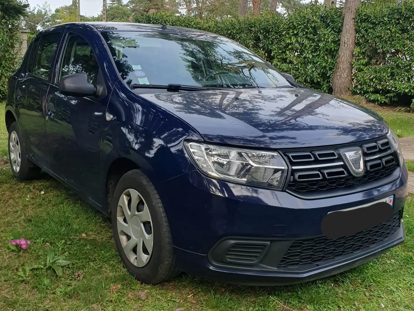 Dacia Sandero SCe 75 Access Bleu - 2