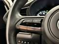Mazda CX-30 2.0 e-SkyActiv-X M Hybrid Luxury | Lederen Bekledi Blanc - thumbnail 20