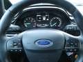 Ford Fiesta Trend (CE1) AUTOMATIK BLUETOOTH GANZJAHRESREIFEN Blau - thumbnail 11