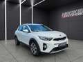 Kia Stonic 1.4 Vision (EURO 6d-TEMP) *Kamera*Szhzg.* Blanc - thumbnail 8
