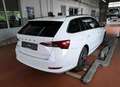 Skoda Octavia Combi 2.0 TDI Ambition Columbus Weiß - thumbnail 5
