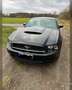 Ford Mustang 3.7 V6 mit LPG/GAS im einwandfreiem Zustand Noir - thumbnail 1