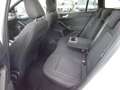 Ford Focus Turnier ST-Line X Autom, Navi, LED Blanc - thumbnail 16
