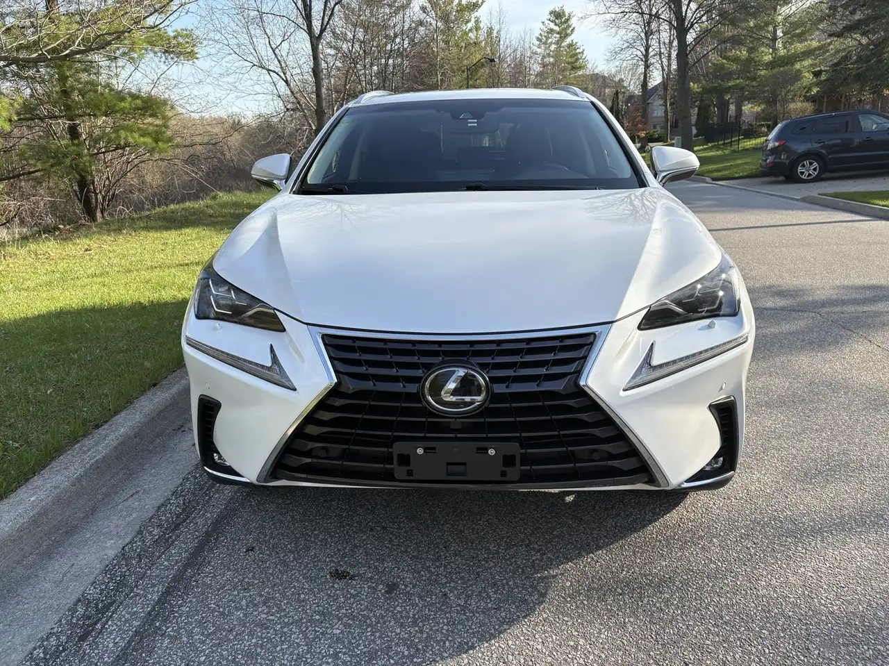 Lexus NX снимка Lexus NX
