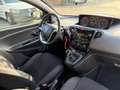 Lancia Ypsilon 1.2 69 CV 5 porte Gold Bleu - thumbnail 10