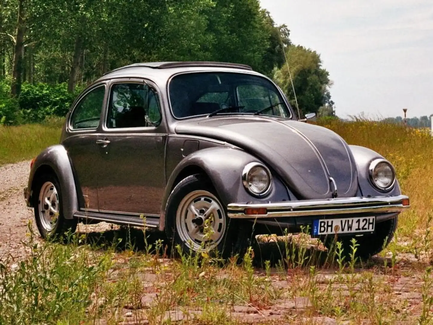 Volkswagen Käfer 1200 50 Jahre Jubiläumskäfer,Faltdach,Leder Сірий - 1