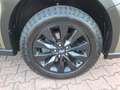 Subaru OUTBACK 2.5i Exclusive Cross , AHK,  MWSt Grün - thumbnail 16