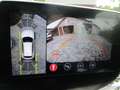 Borgward BX5 2.0 Ess Aut cuir gps To 4 WD Only export Weiß - thumbnail 14