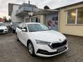Skoda Octavia Combi 2,0 TDI-1.BESITZ-LED-SPURHALTEASSIST Weiß - thumbnail 3