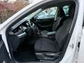 Skoda Octavia Combi 2,0 TDI-1.BESITZ-LED-SPURHALTEASSIST Weiß - thumbnail 10