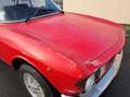 Alfa Romeo Junior GUILIA GT 1600 JUNIOR Rouge - thumbnail 34
