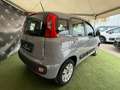 Fiat Panda Panda 1.2 Easy s - thumbnail 5